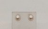 9ct Yellow Gold Cultured Pearl Stud Earrings - Cream Thumbnail