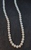 Freshwater Pearl Necklace DP6/716 Thumbnail